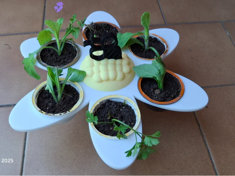 Dolcegusto Flower