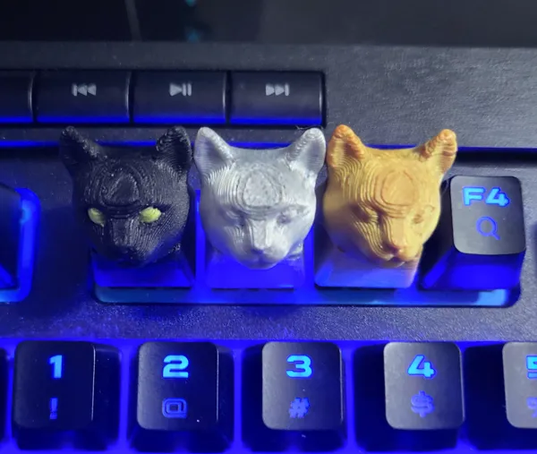 https://makerworld.bblmw.com/makerworld/model/USd451bd5331b16c/design/2024-01-08_f4ce5e8c6e27b.jpg