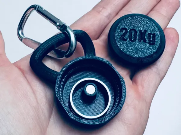 https://makerworld.bblmw.com/makerworld/model/USd4543541a05530/design/40852681e173cf88.jpeg