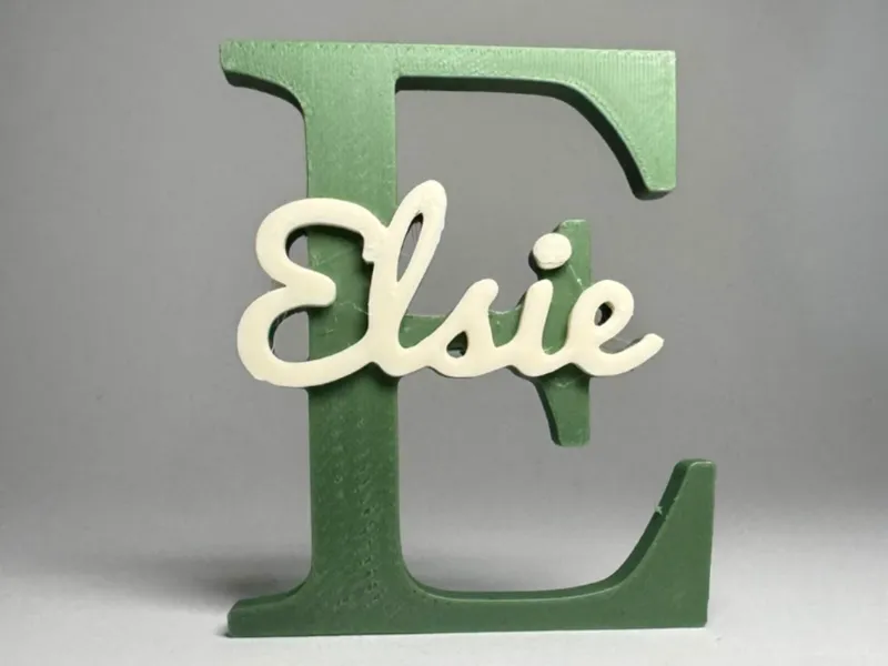 Placa de Identificação 3D - Elsie