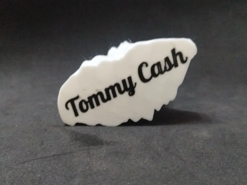 Tommy Cash Bust