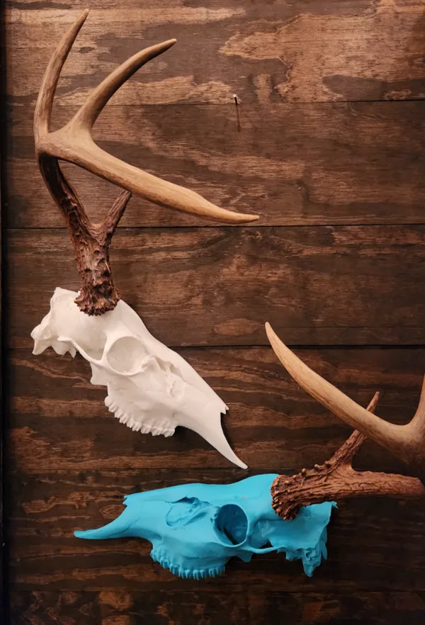 https://makerworld.bblmw.com/makerworld/model/USd461d67178edb2/design/2024-12-29_e60fbb807be0f.jpg