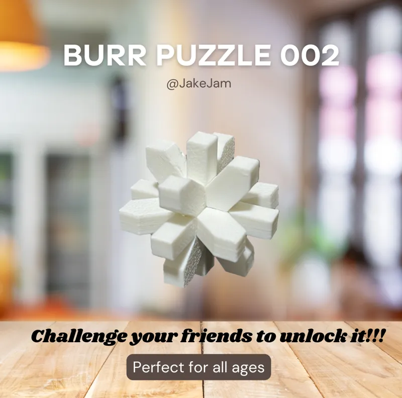 BurrPuzzle 002_Lattice Lock