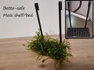 Aquarium Moss Shelf / Bed