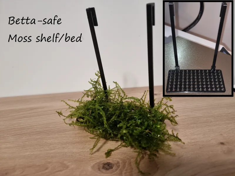Aquarium Moss Shelf / Bed