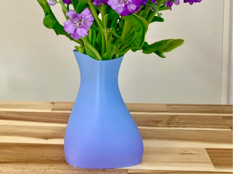 PLA Basic Freeform Vase