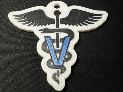 Veterinary Medicine Keychain