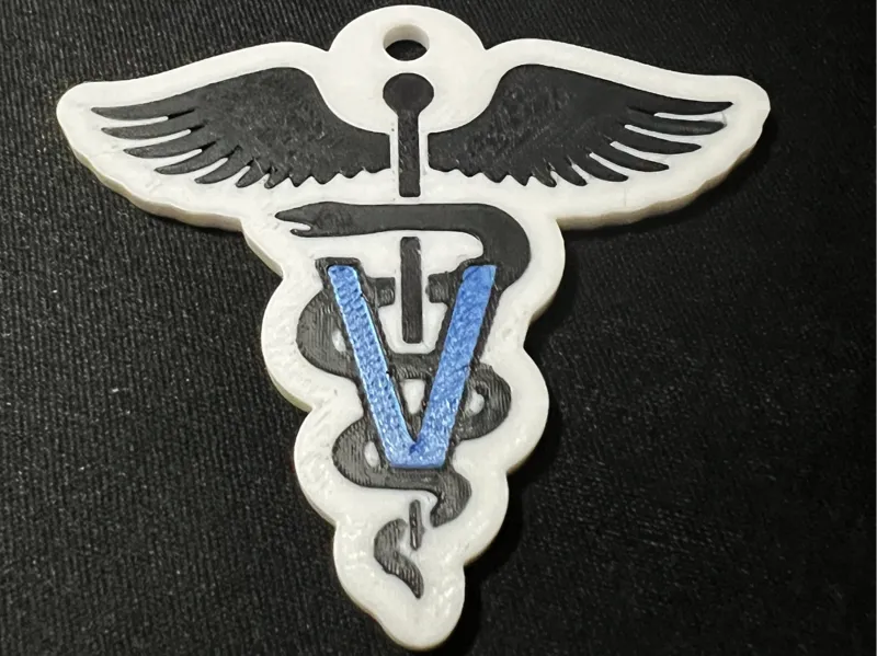 Veterinary Medicine Keychain
