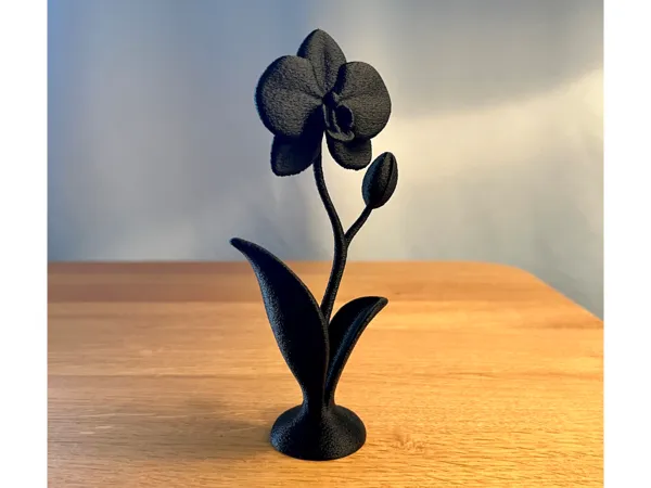 https://makerworld.bblmw.com/makerworld/model/USd476d7706a673a/design/2025-05-09_13f60c50240ed.jpg