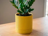 XL 170x150mm (pattern) - Ficus & Zamioculcas (Heavy Duty)