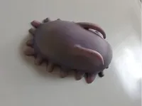 0.12mm layer, 2 walls, 10% infill