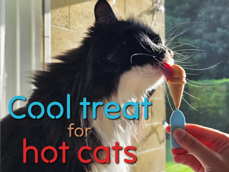 Cool Cat Treat Mold – Ice Cream Shape