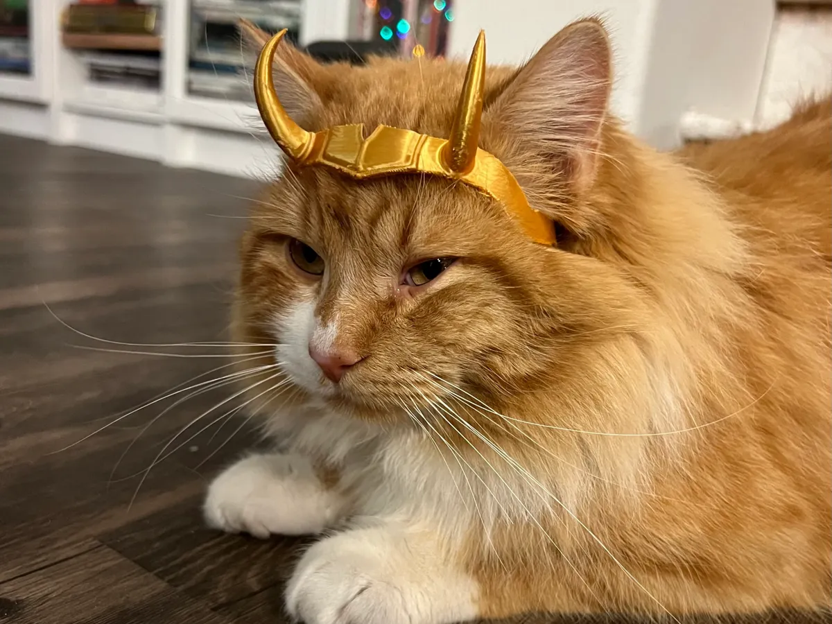 Couronne Loki pour chat