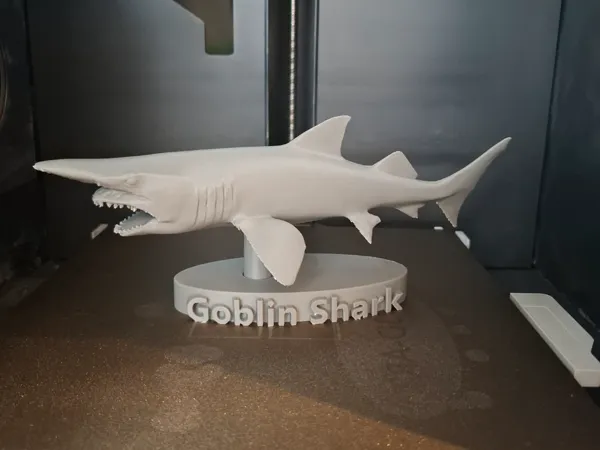 https://makerworld.bblmw.com/makerworld/model/USd4838dc013945b/design/586e5d0274cd7b9e.jpg