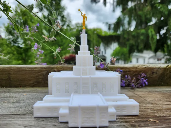 https://makerworld.bblmw.com/makerworld/model/USd485b43cf195b8/design/2025-05-31_9c299d977a9038.jpg
