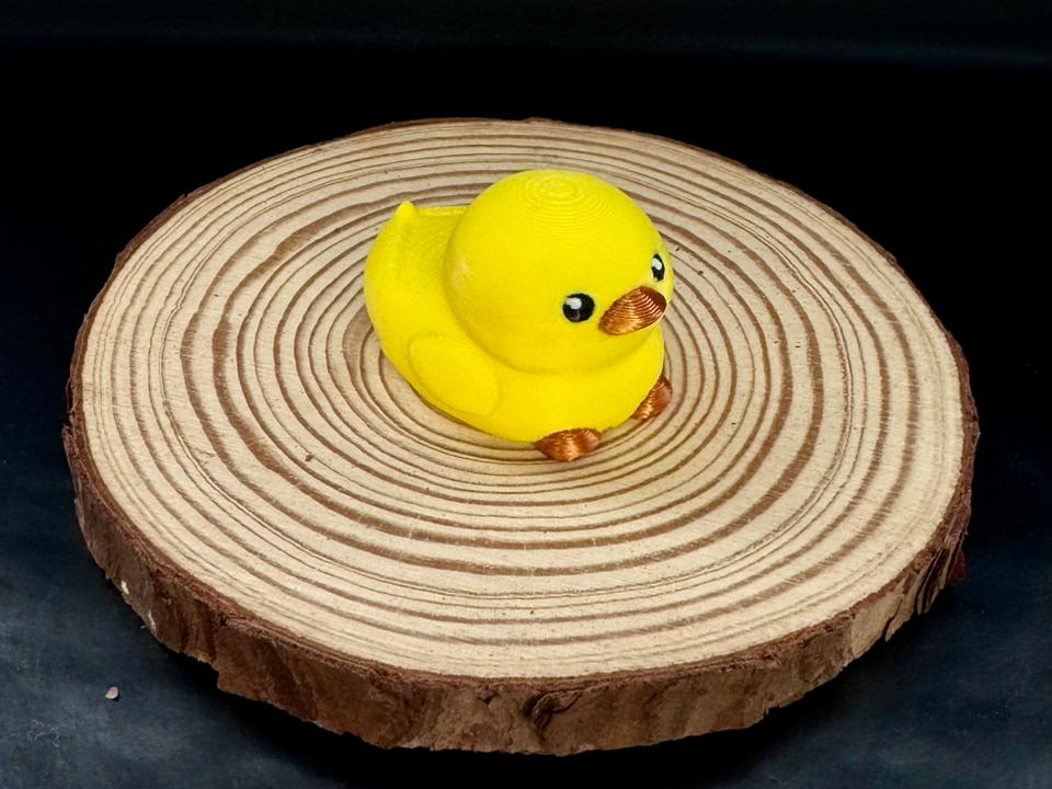 Cute Chubby Duck