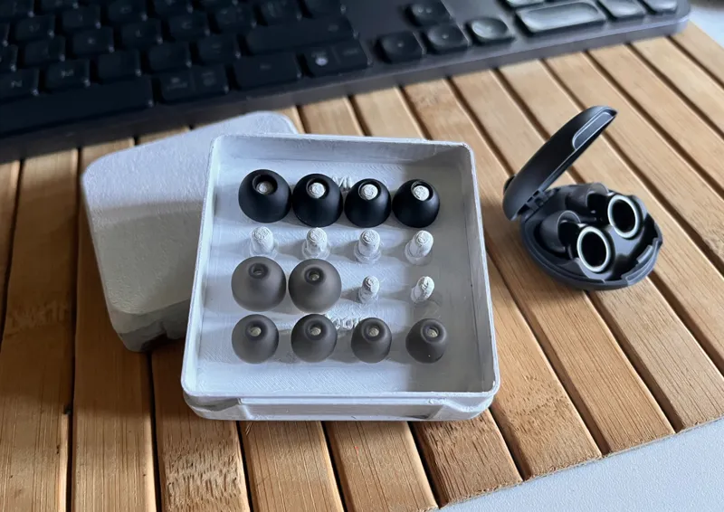 Earbuds tips Storage (insert)