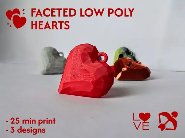 https://makerworld.bblmw.com/makerworld/model/USd48cc79b67591e/design/2025-01-18_f9ff59b735bfb.png