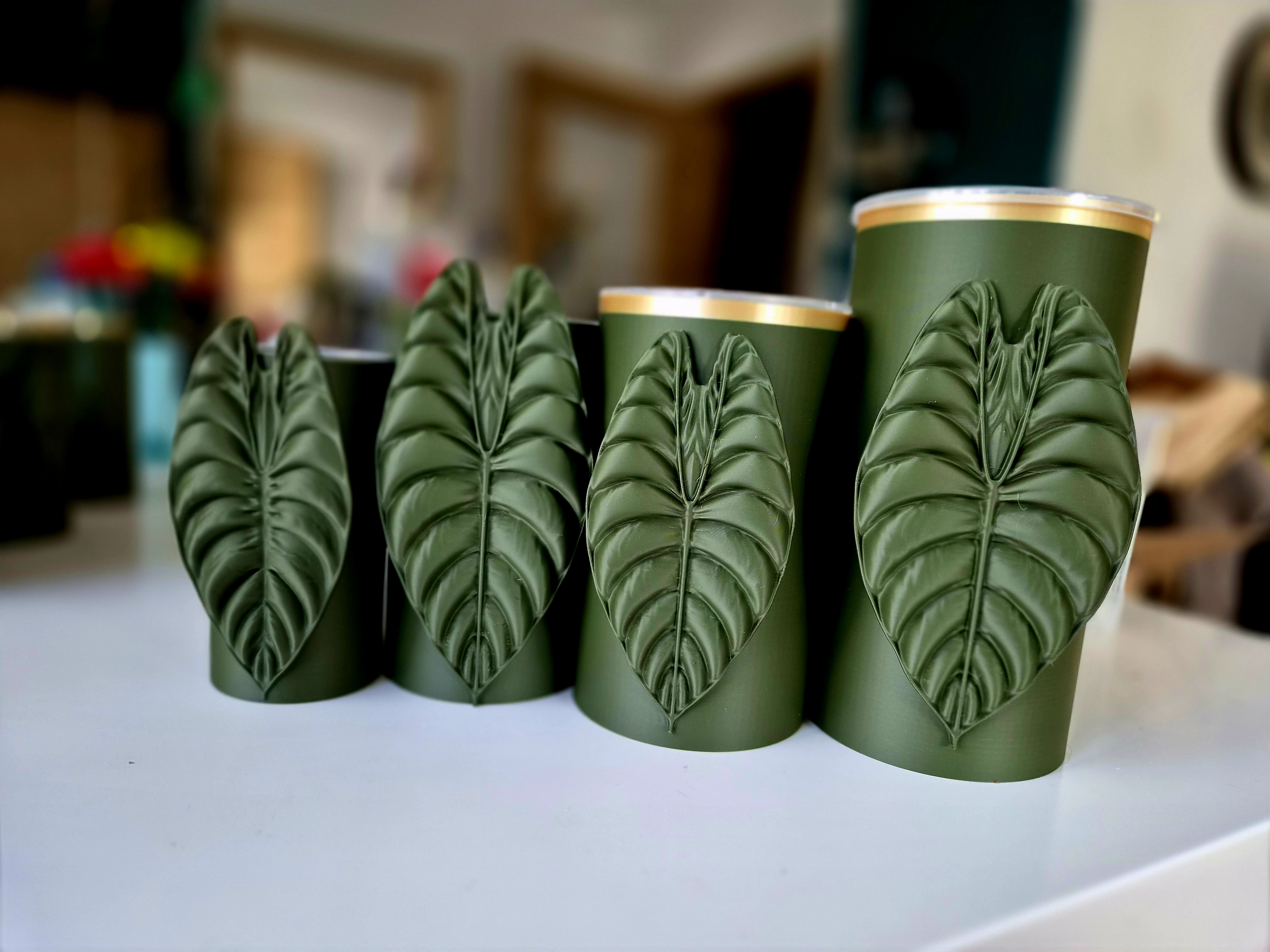 Miniatura 2 do modelo 3D Selbstbewässerungsübertopf Alocasia Sedenii