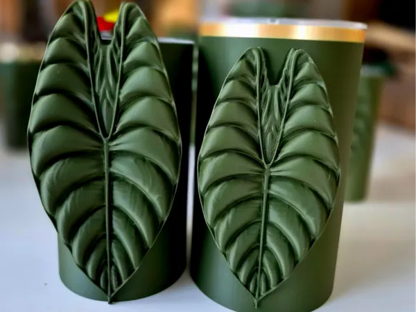 https://makerworld.bblmw.com/makerworld/model/USd48dd3885fd6aa/design/75de1f55b059af6e.jpg