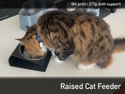 Raised Cat Feeder