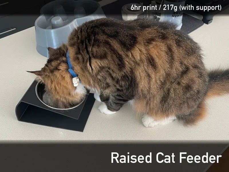 Raised Cat Feeder