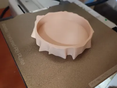 Wodden trunk coaster