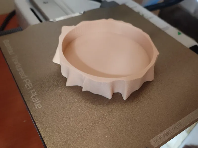 Wodden trunk coaster