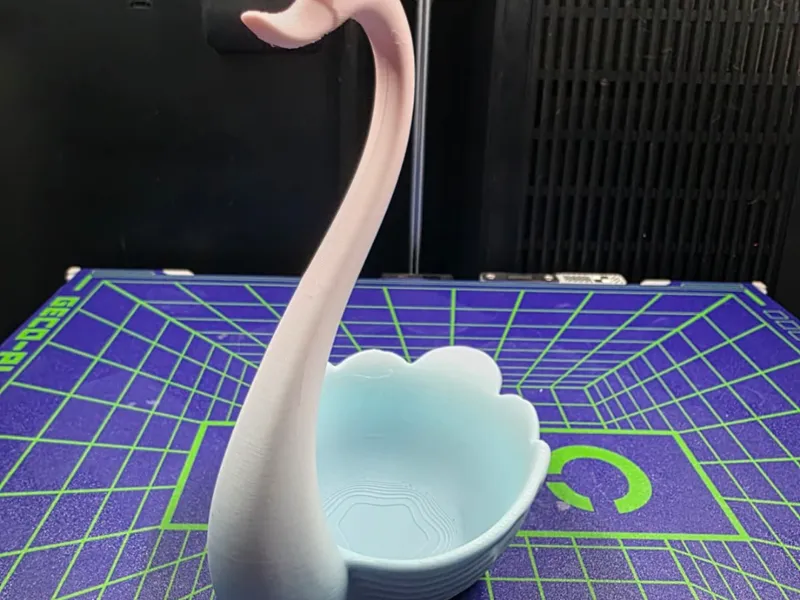 Noir Swan