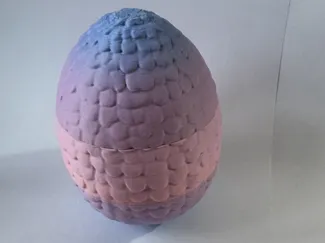 Dragon egg