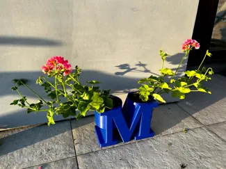 Mother's Day Planter pot for flowers