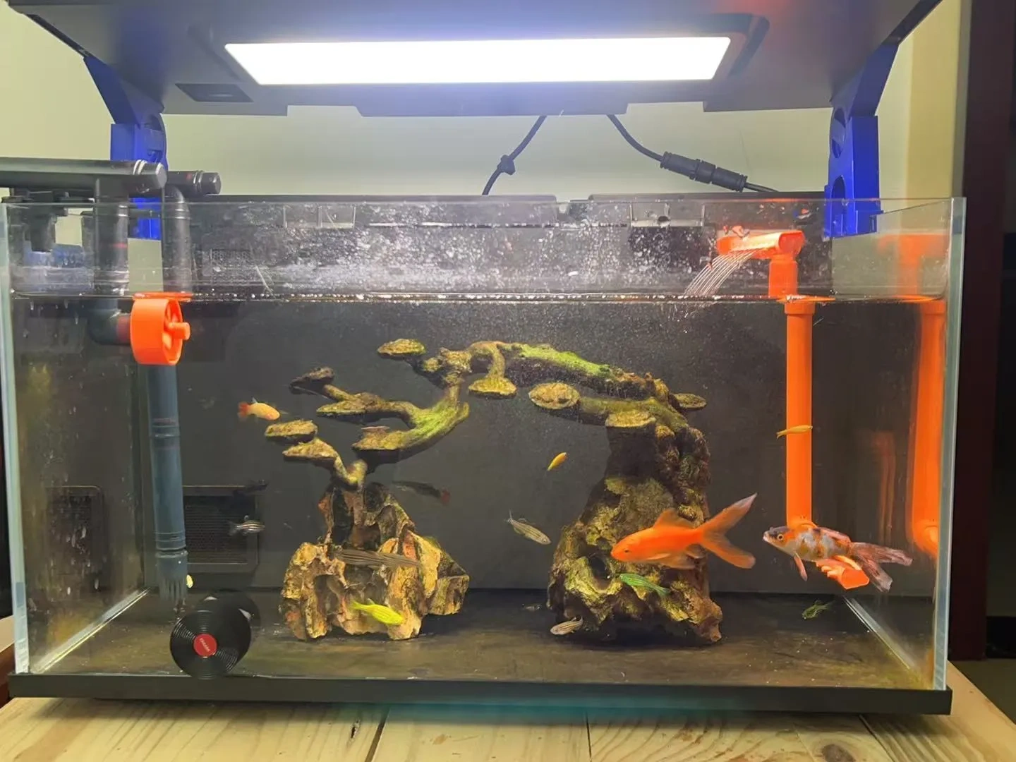 Miniatura 1 do modelo 3D 小米鱼缸上下雨淋