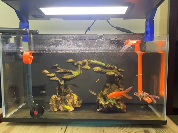 https://makerworld.bblmw.com/makerworld/model/USd4939bbf6a2ef0/design/6313ba73-1609-4dae-a691-32984729ad7c.webp