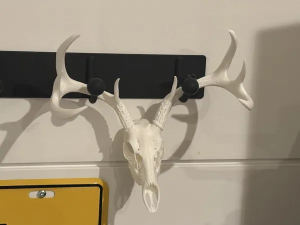 https://makerworld.bblmw.com/makerworld/model/USd4958d1e05be5f/design/2bf5bcb3a3b2786a.jpg