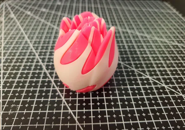 https://makerworld.bblmw.com/makerworld/model/USd49a7e55e1a05/design/2024-08-23_4e05f3b8d710b.jpg