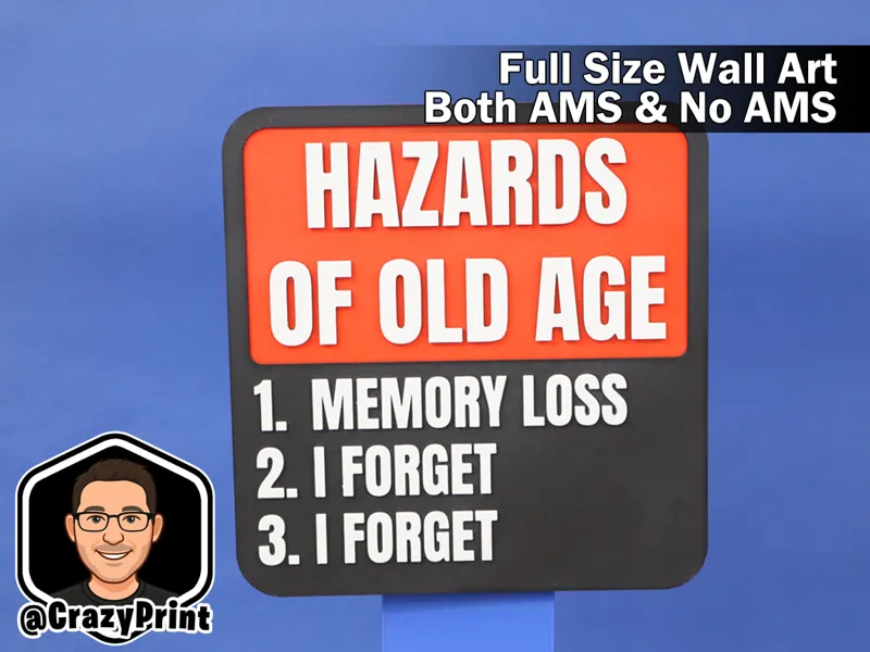 Funny (but true) Old Age wall art / Sign - No AMS