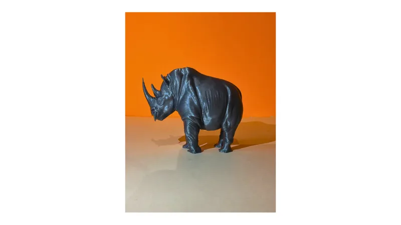 Angry Rhino