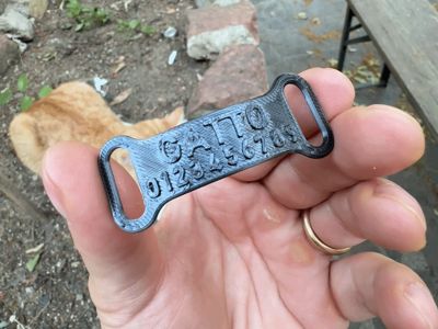 Customizable and flexible cat tag