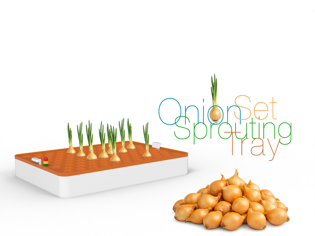 Onion Set Sprouting Tray