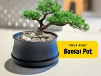 Pot bonsaï avec plateau et grille de drainage — photo 1