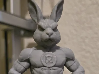 RABBIT CRUZ AZUL FC MEXICO