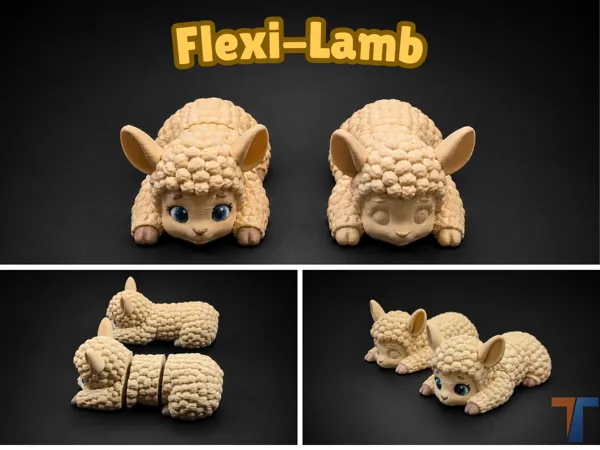 https://makerworld.bblmw.com/makerworld/model/USd4a703d3b21b06/design/1132586fde3b1b7e.png