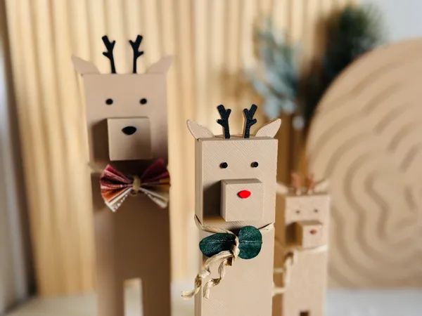 https://makerworld.bblmw.com/makerworld/model/USd4ac940b33414f/design/2025-11-16_03f54a7006aaf8.jpg