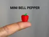 Mini Bell Pepper - 0.16mm layer, 2 walls, 15% infill