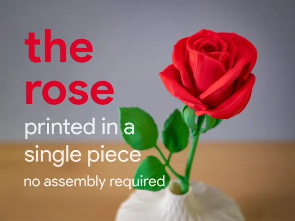 https://makerworld.bblmw.com/makerworld/model/USd4bac944fa468/design/2025-02-08_6c5899e026968.jpg