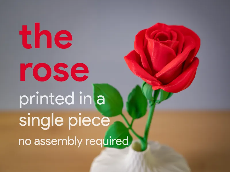 Rose Printed in a Single Piece