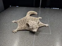 Voronoi Flying Squirrel