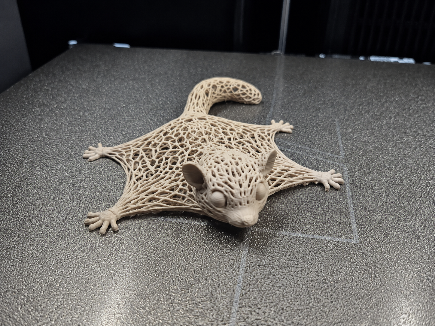 Voronoi Flying Squirrel