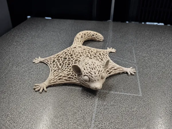 https://makerworld.bblmw.com/makerworld/model/USd4bc7e787746a7/design/13fed1a57cdd18f4.png
