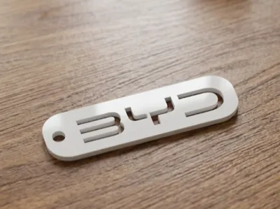 BYD Keychain